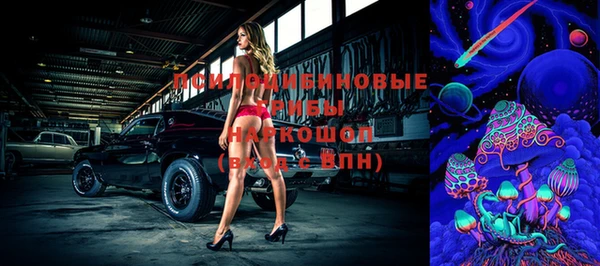 гидропоника Армянск