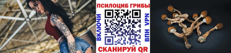 гидра вход  цена наркотик  Любань  Галлюциногенные грибы Psilocybine cubensis 
